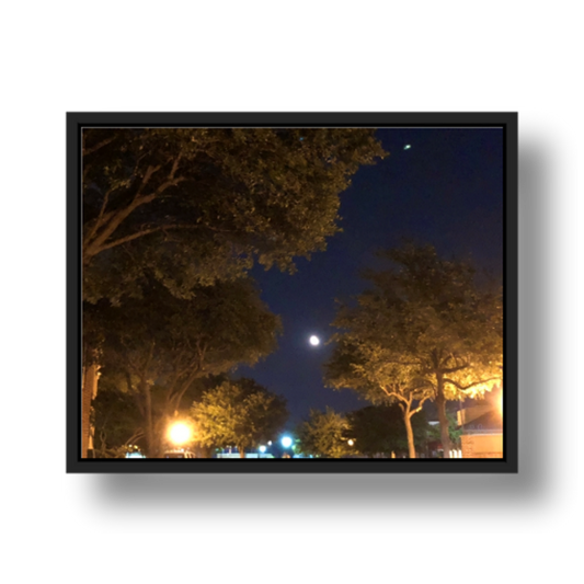 Moonlight Walk Fine Art